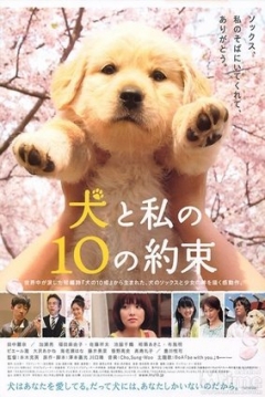 Poster 10 Promesas a mi Perro