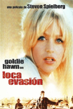 Poster Loca Evasión