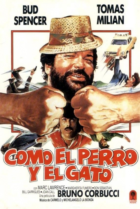 Como el Perro y el Gato — póster