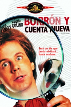 Ficha Borrón y Cuenta Nueva