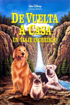Poster De Vuelta a Casa. Un Viaje Increíble