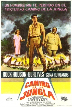 Poster Camino de la Jungla