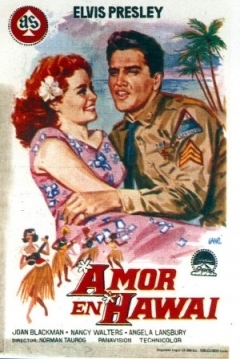 Poster Amor en Hawai