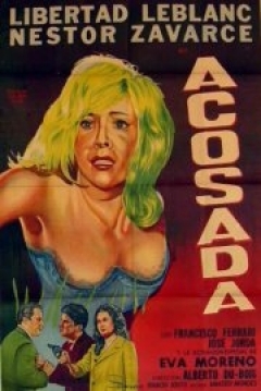 Poster Acosada