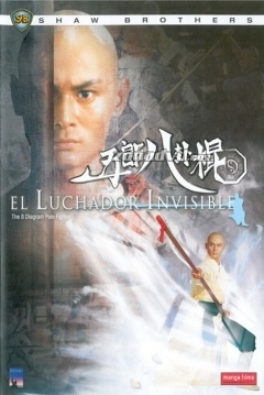 Poster El Luchador Invisible