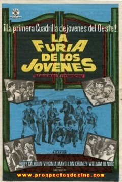 Poster La Furia de los Jóvenes