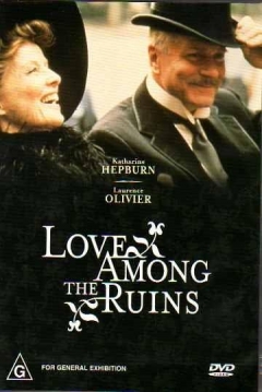 Poster Amor Entre Ruinas
