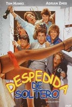 Poster Despedida de Soltero