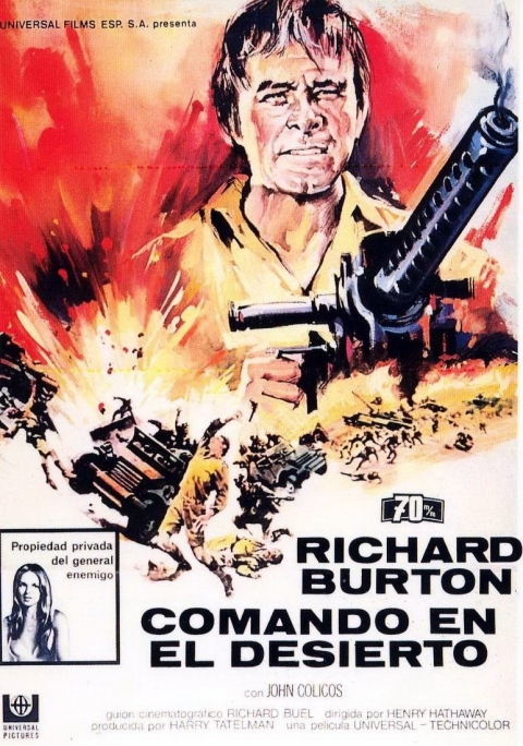 Ficha Comando en el Desierto