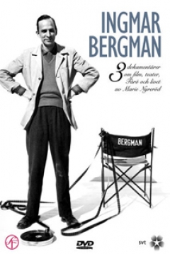 Poster Bergman Island