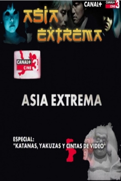 Poster Katanas, Yakuzas y Cintas de Video