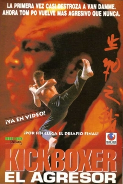 Poster Kickboxer 4: El Agresor