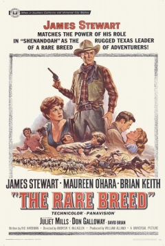 Poster Una Dama entre Vaqueros (Una Dama para un Vaquero)