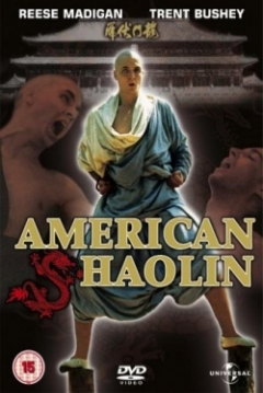 Poster American Shaolin
