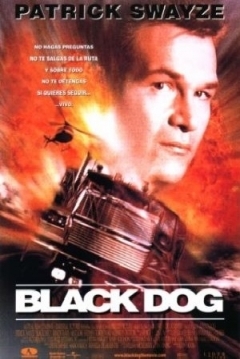 Poster Black Dog