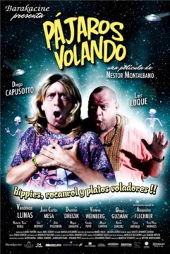 Poster Pajaros Volando