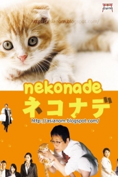 Poster Nekonade