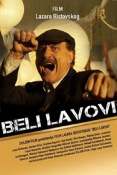 Poster Beli Lavovi