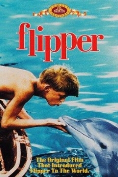 Poster Mi Amigo Flipper
