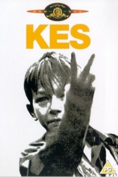 Poster Kes