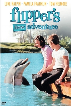 Poster Flipper y Los Piratas