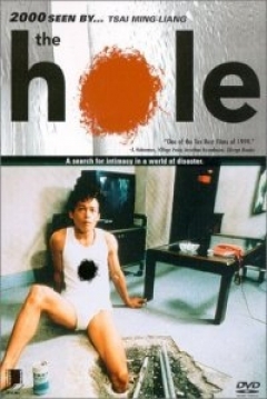 Poster The Hole