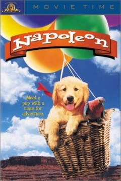 Poster Napoleón, El Perrito Aventurero