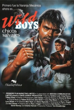 Ficha Wild Boys (Chicos Salvajes)