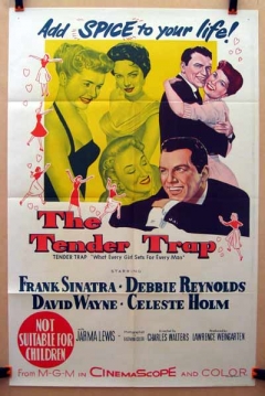 Poster El Solteron y el Amor