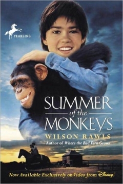 Poster El Verano de los Monos