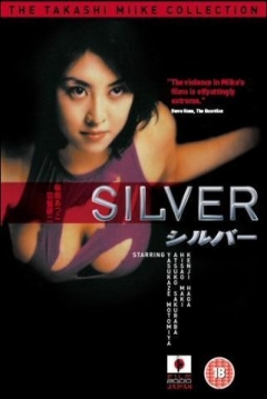 Poster Silver