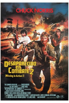 Desaparecido en Combate 2