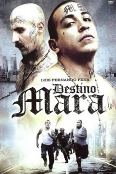 Poster Destino Mara