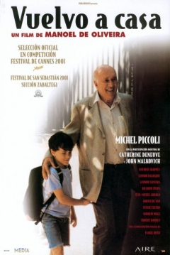 Poster Vuelvo a Casa