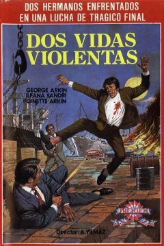 Poster Dos Vidas Violentas