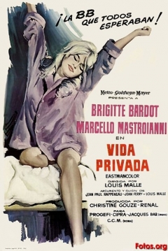 Poster Una Vida Privada