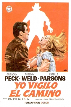 Poster Yo Vigilo el Camino