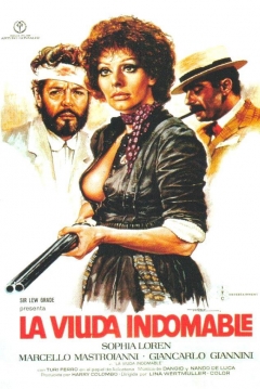 Poster La Viuda Indomable