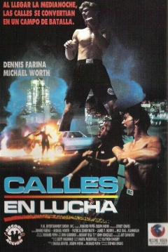 Poster Calles en Lucha