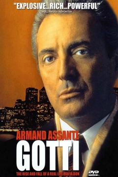 Poster Gotti