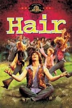 Ficha Hair