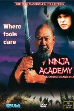 Poster Academia de Ninjas