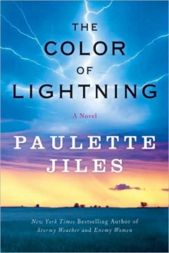Poster The Color of Lightning