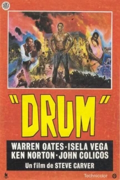 Poster Drum