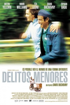 Poster Delitos Menores
