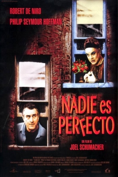 Poster Nadie es Perfecto
