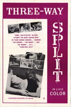 Poster Three-Way Split