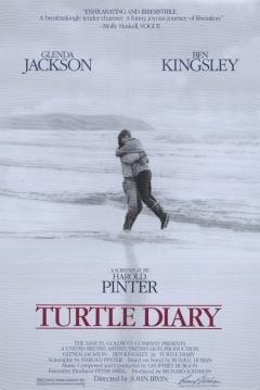 Ficha El Diario De La Tortuga