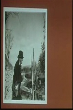 Poster Cezanne