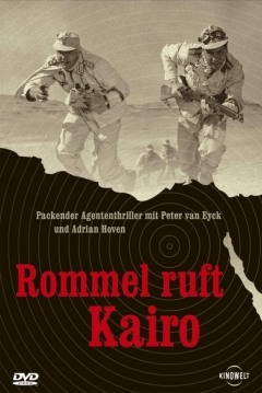 Poster Rommel Llama al Cairo